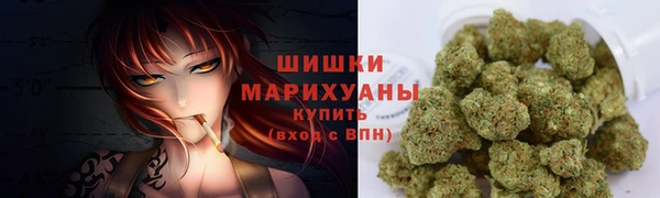 спиды Новозыбков