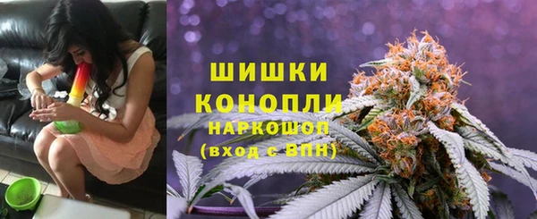 МДПВ Новодвинск