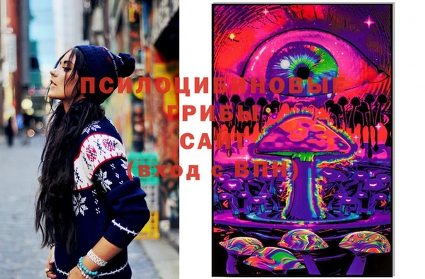 МДПВ Новодвинск
