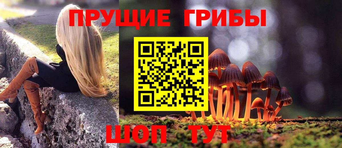Галлюциногенные грибы ЛСД Братск