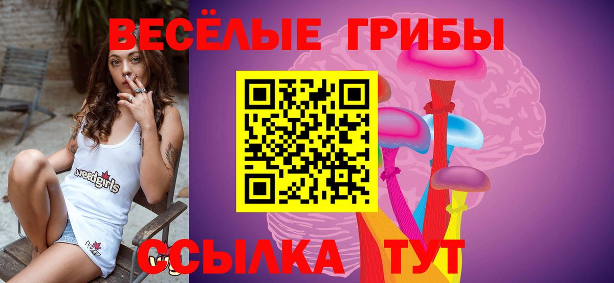 цены   Галлюциногенные грибы мухоморы  Братск  Галлюциногенные грибы Magic Shrooms 